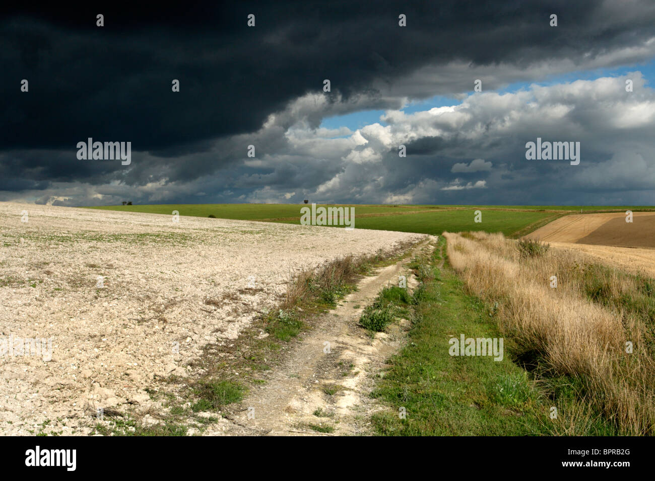 Ciel orageux sur la plaine de Salisbury, Wiltshire, Angleterre, Royaume-Uni Banque D'Images