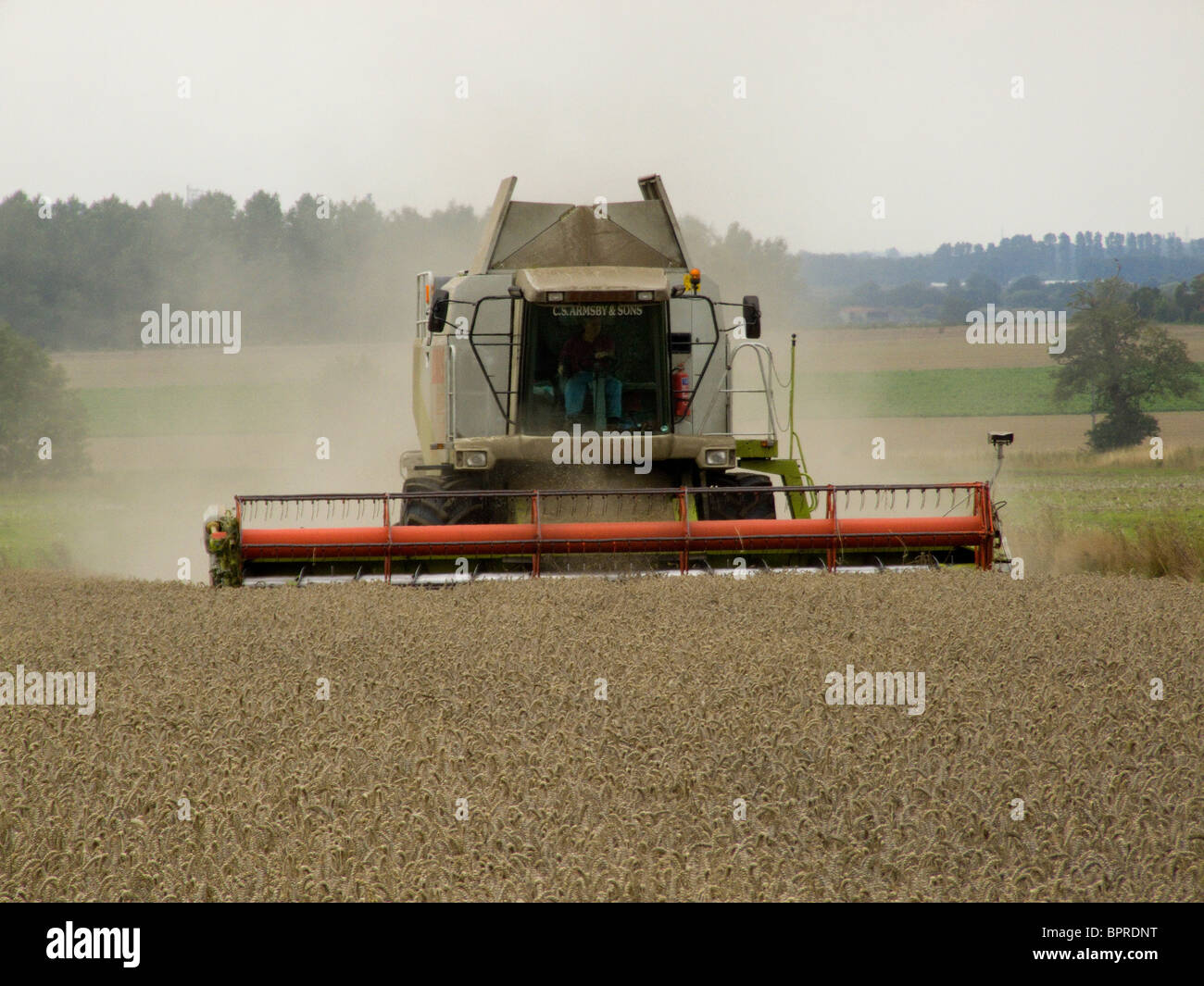 Rendmt Lexion Claas 480 moissonneuse-batteuse, la récolte du blé dans un champ de Norfolk par un beau jour d'août Banque D'Images