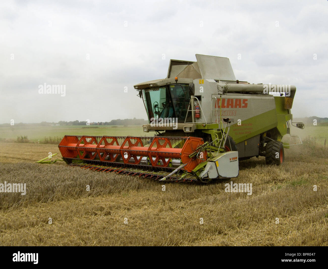 Rendmt Lexion Claas 480 moissonneuse-batteuse, la récolte du blé dans un champ de Norfolk par un beau jour d'août Banque D'Images