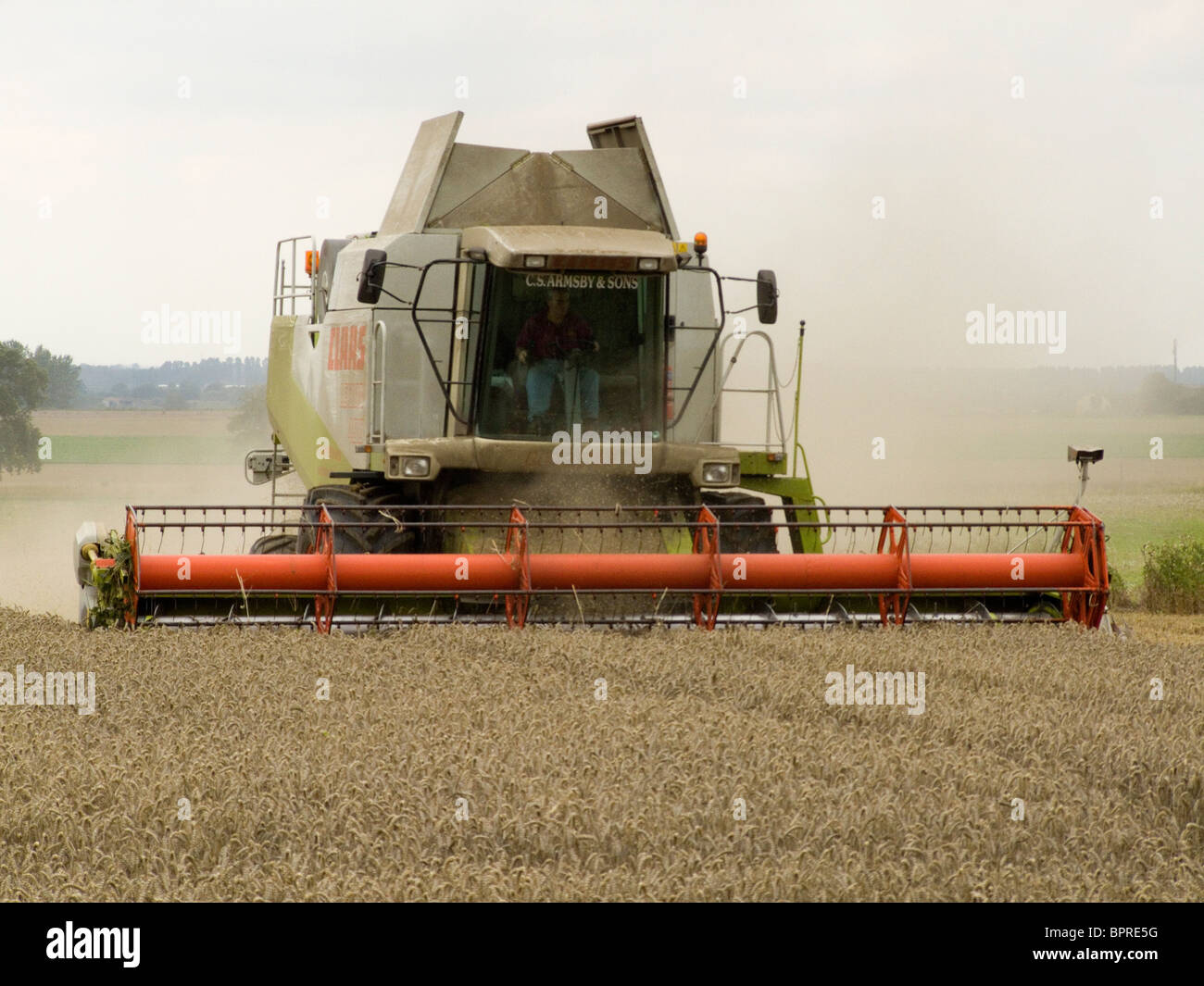 Rendmt Lexion Claas 480 moissonneuse-batteuse, la récolte du blé dans un champ de Norfolk par un beau jour d'août Banque D'Images