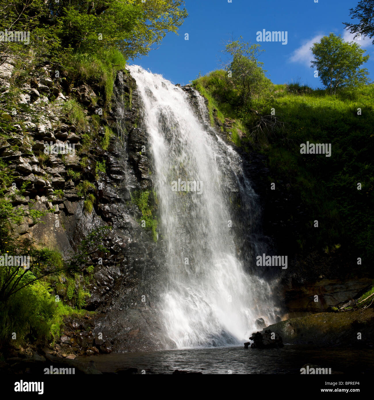 Massif du Sancy, cascade, Département Puy-de-Dôme, région Auvergne, France, Europe Banque D'Images