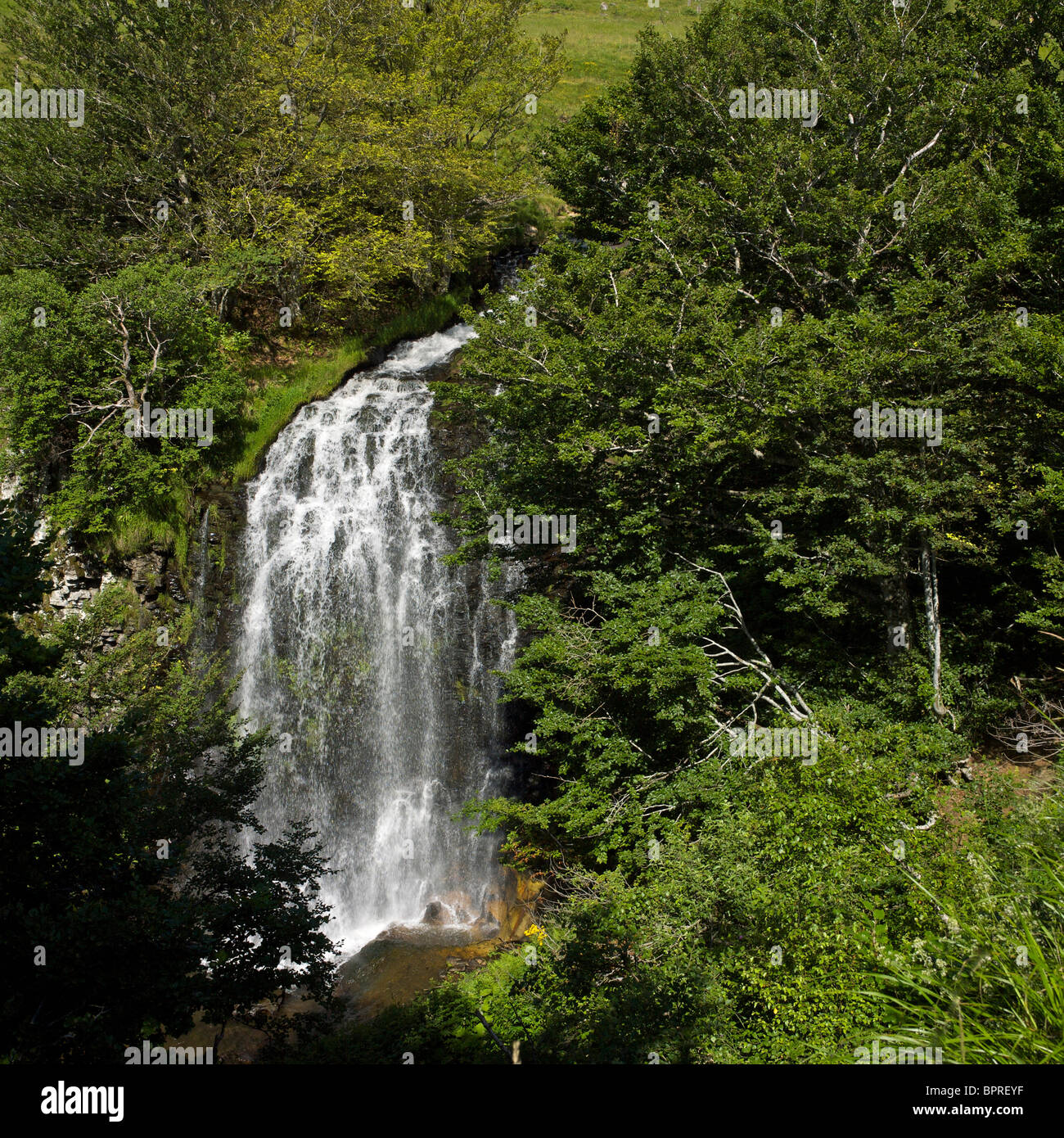 Massif du Sancy, cascade, Département Puy-de-Dôme, région Auvergne, France, Europe Banque D'Images