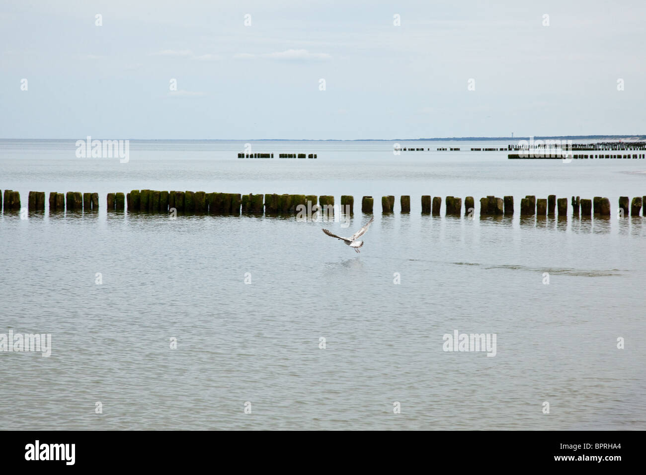 Les brise-lames sont des structures construites sur les côtes dans le cadre de la défense des côtes ou à protéger une zone de mouillage à partir des effets de la météo Banque D'Images