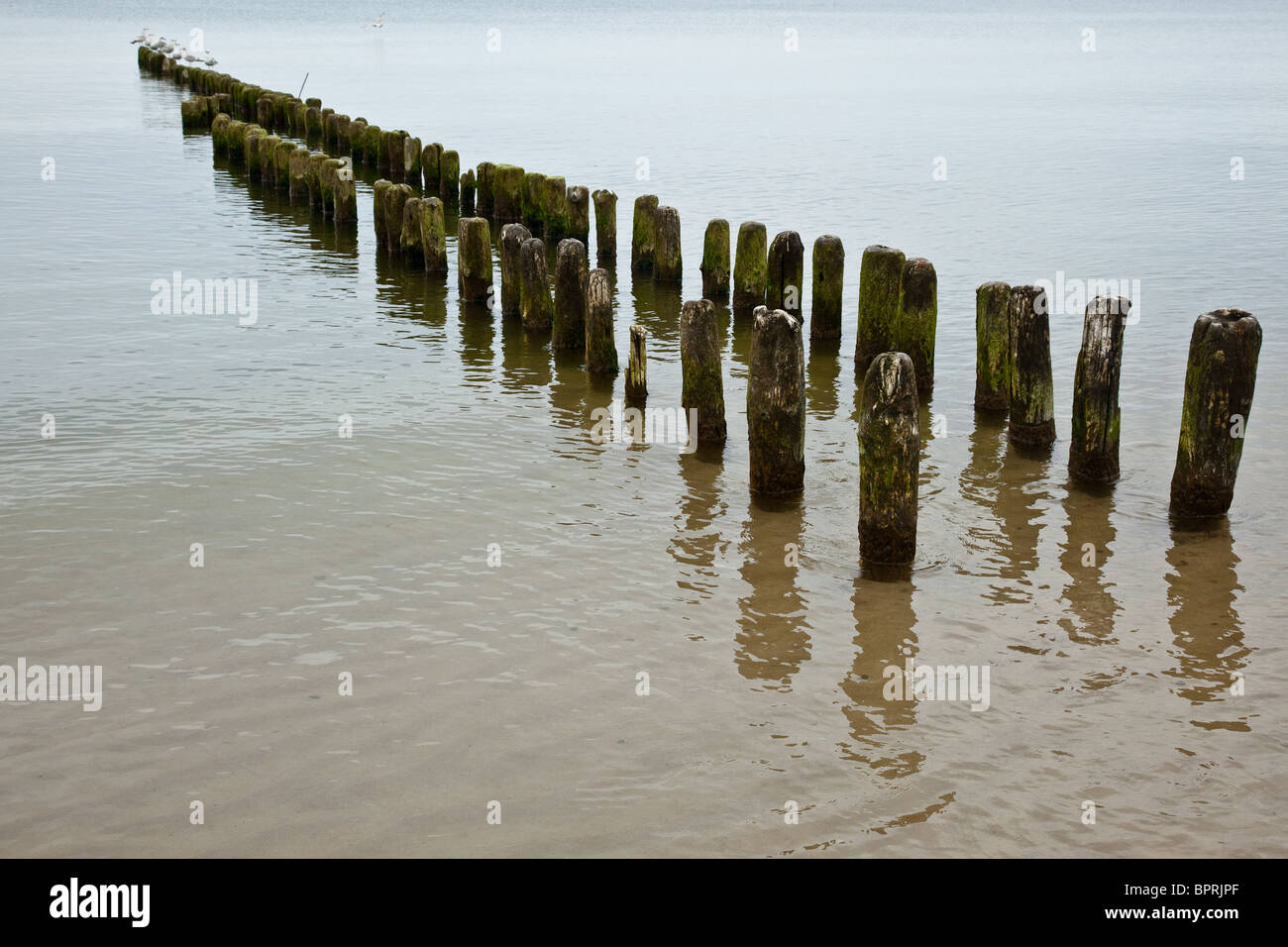 Les brise-lames sont des structures construites sur les côtes dans le cadre de la défense des côtes ou à protéger une zone de mouillage à partir des effets de la météo Banque D'Images