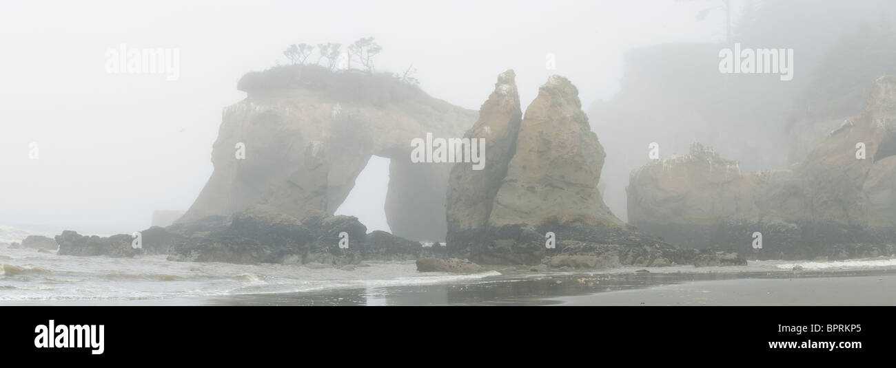 Seastacks et arch dans le brouillard, Elephant Rock, Quinault Indian Reservation, la côte du Pacifique, Washington, USA VUE PANORAMIQUE Banque D'Images