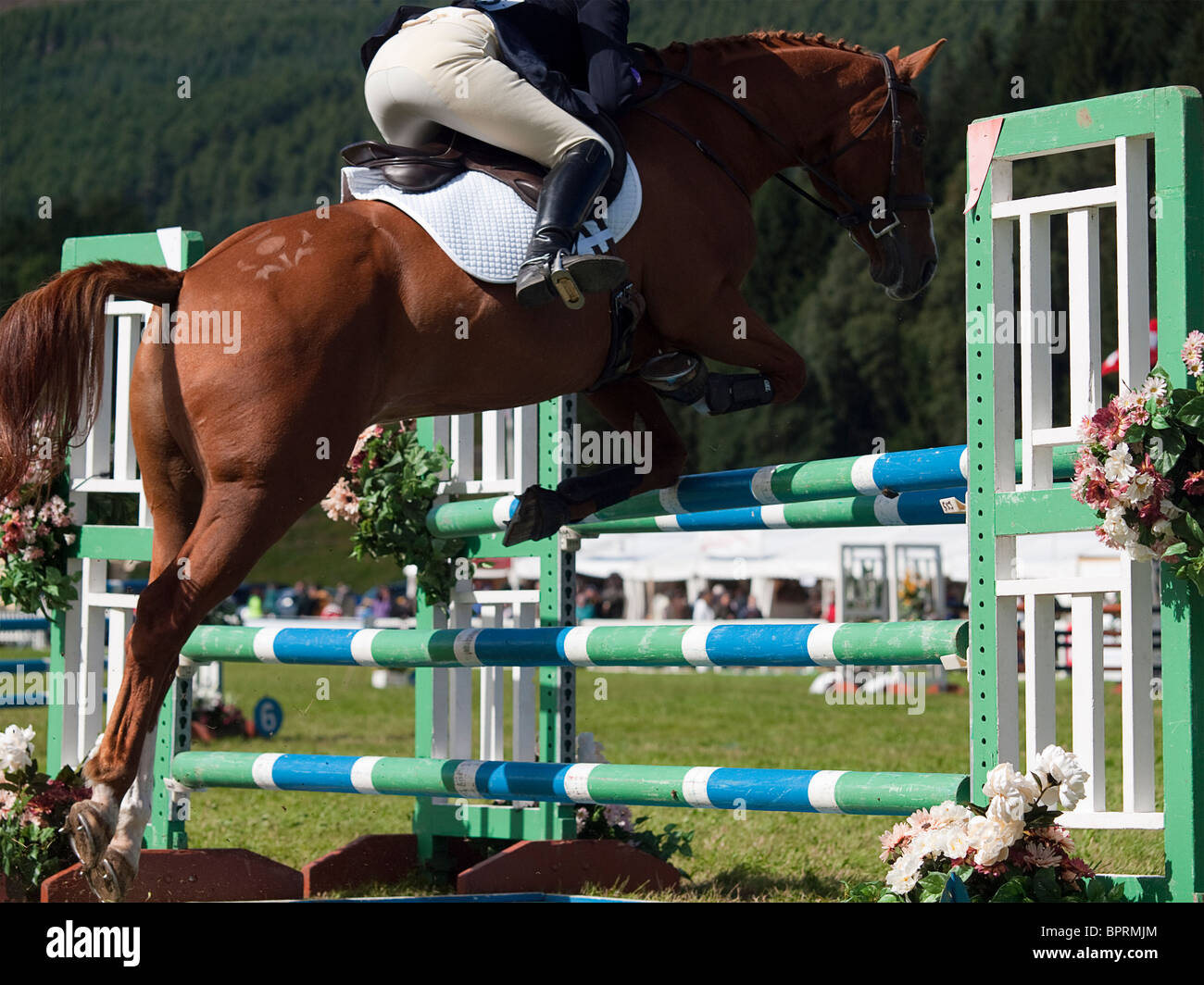 Show Jumping à Blair Castle, Scotland, Août 2010 Banque D'Images
