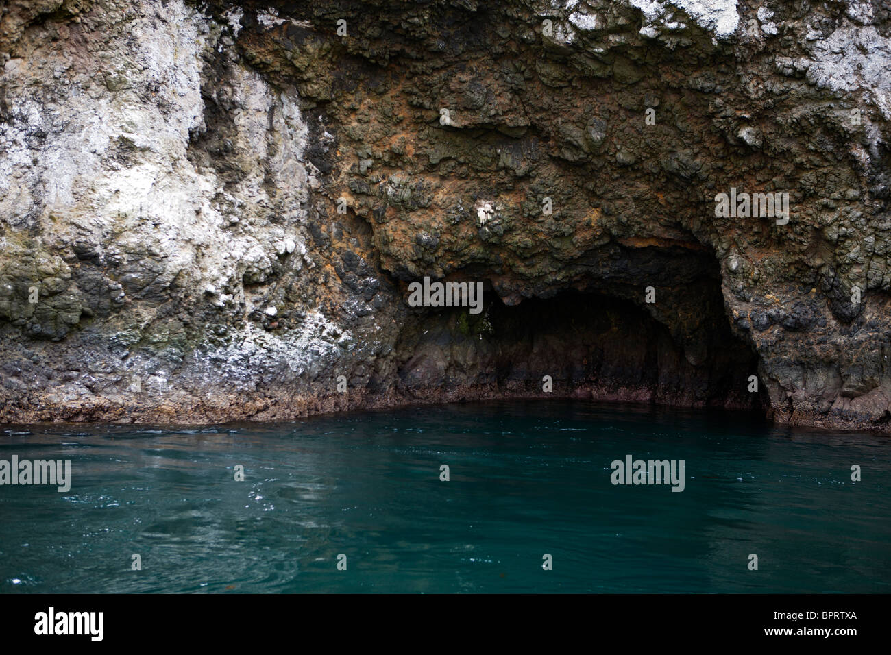 Grotte de la mer de l'Île, Anacapa, Channel Islands National Park, California, United States of America Banque D'Images