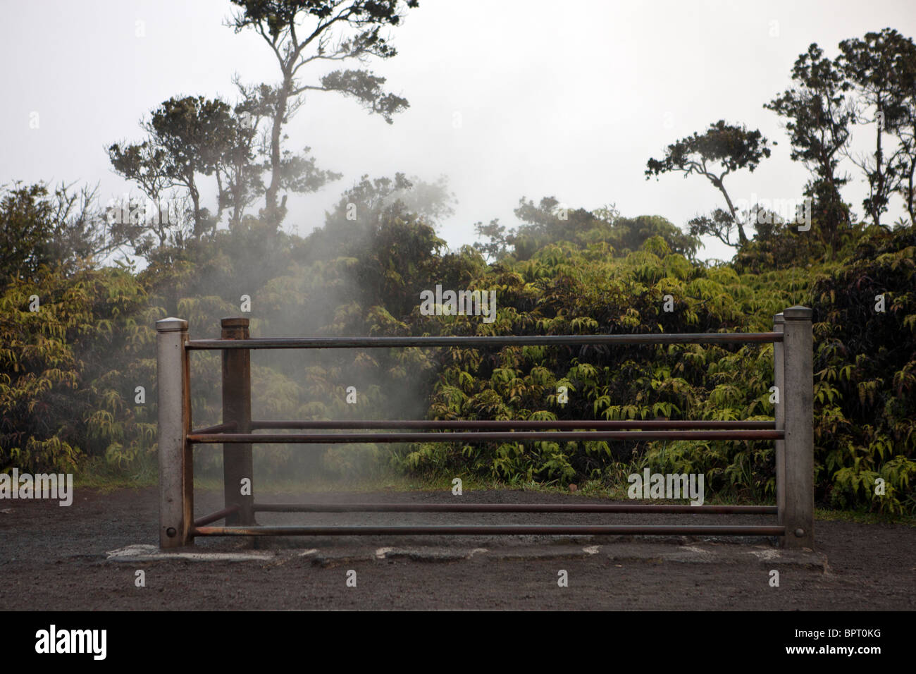 Les Cheminées à vapeur, Hawaii Volcanoes National Park, le Big Island, Hawaii, United States of America Banque D'Images