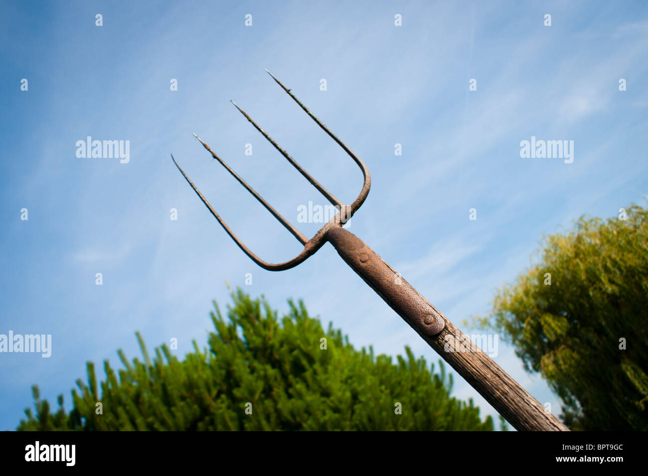 Fourche contre le dos goutte d'un ciel bleu et arbres Banque D'Images