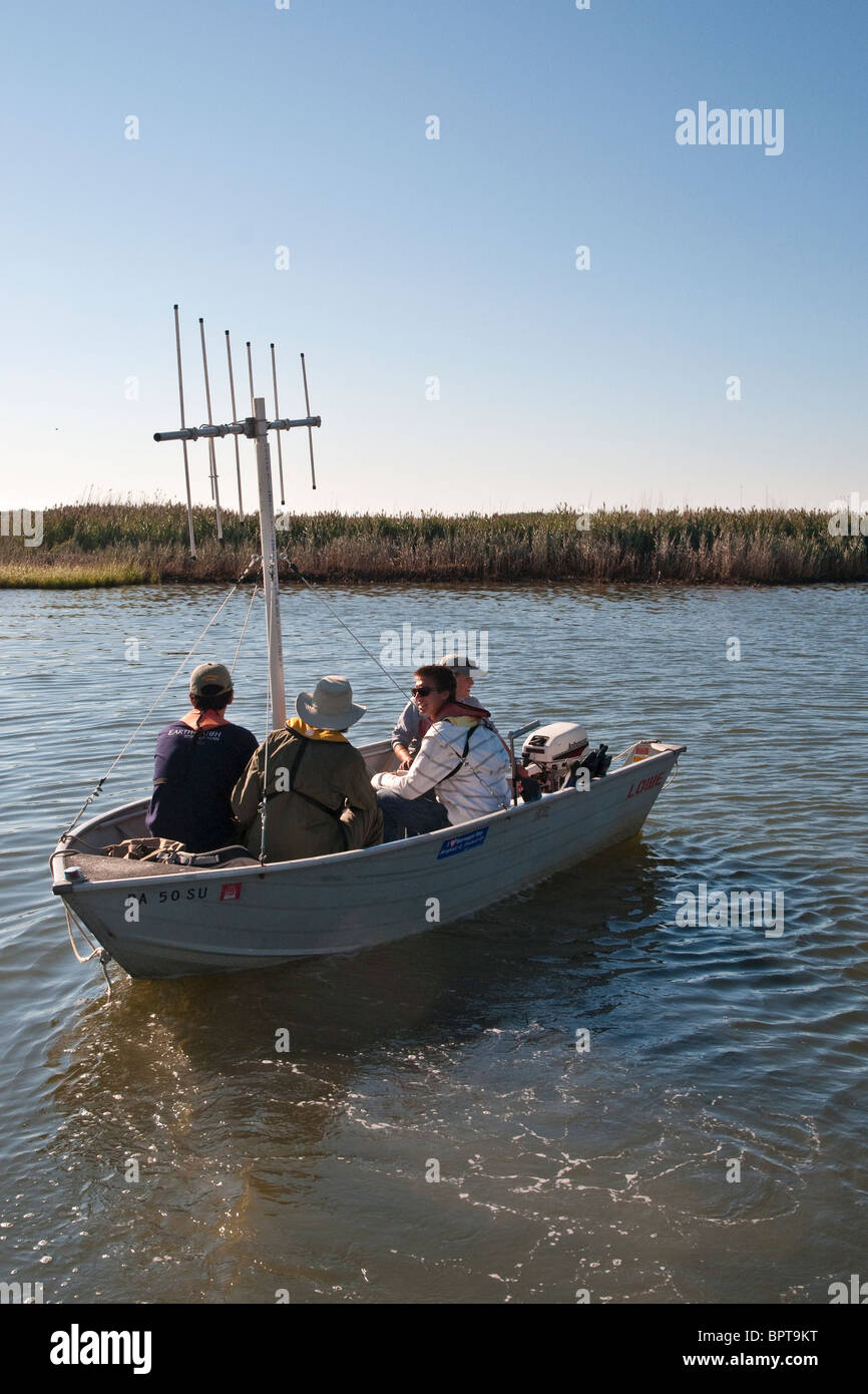 Boat équipés de radio émetteur de suivi pour suivre la vie marine Banque D'Images