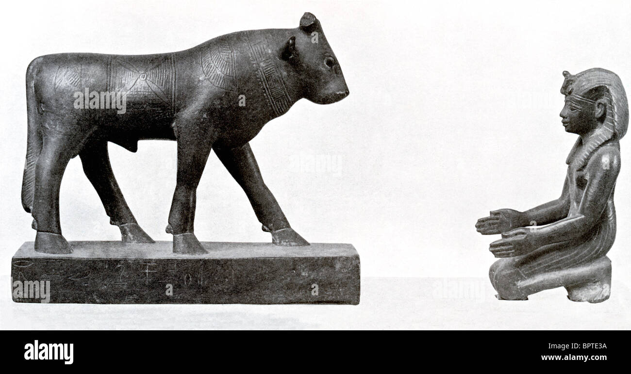 Un pharaon égyptien rend hommage à l'Apis taureau. Banque D'Images