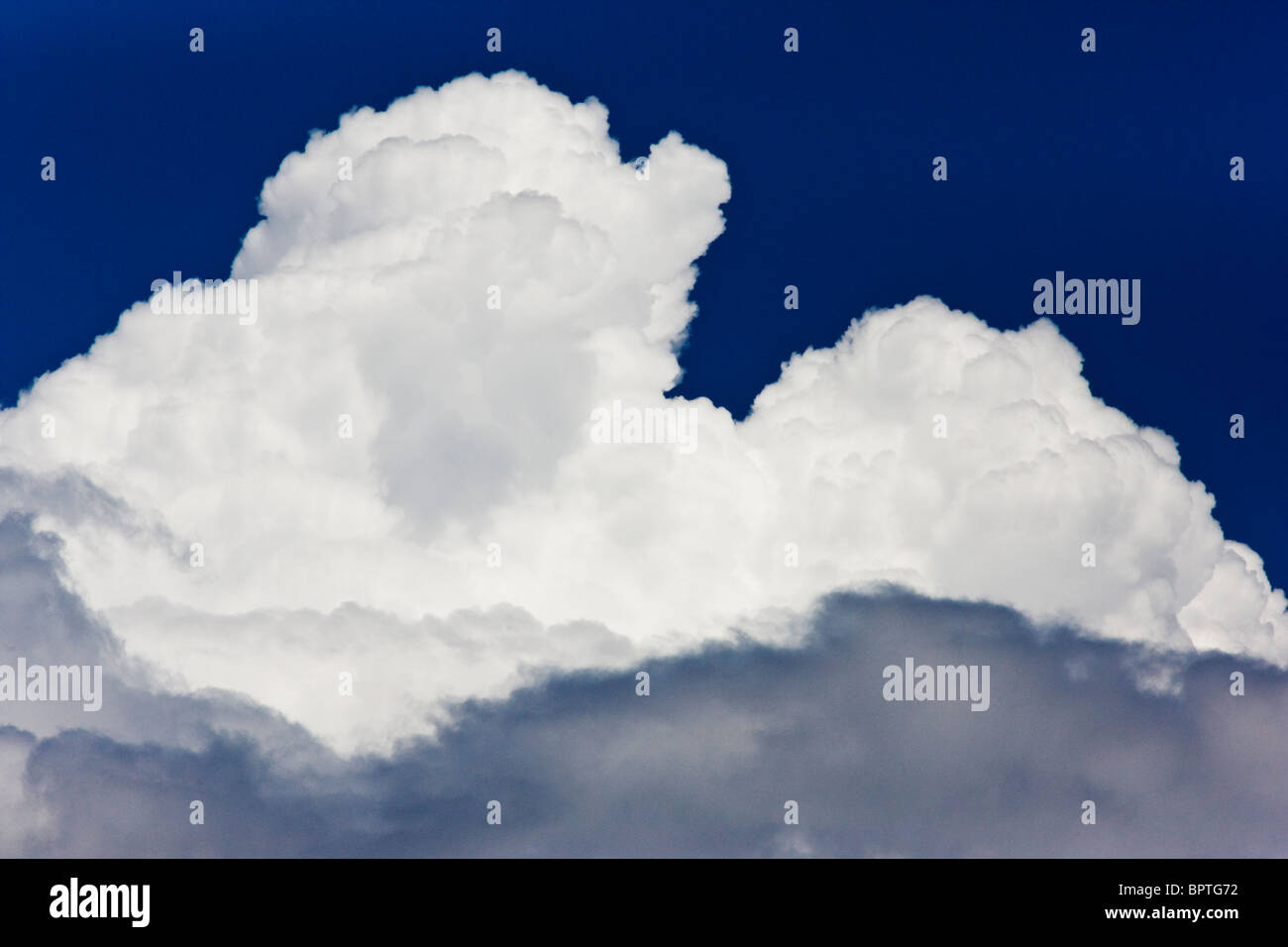 Puffy nuages cumulous blanc contre un ciel bleu au Colorado Banque D'Images