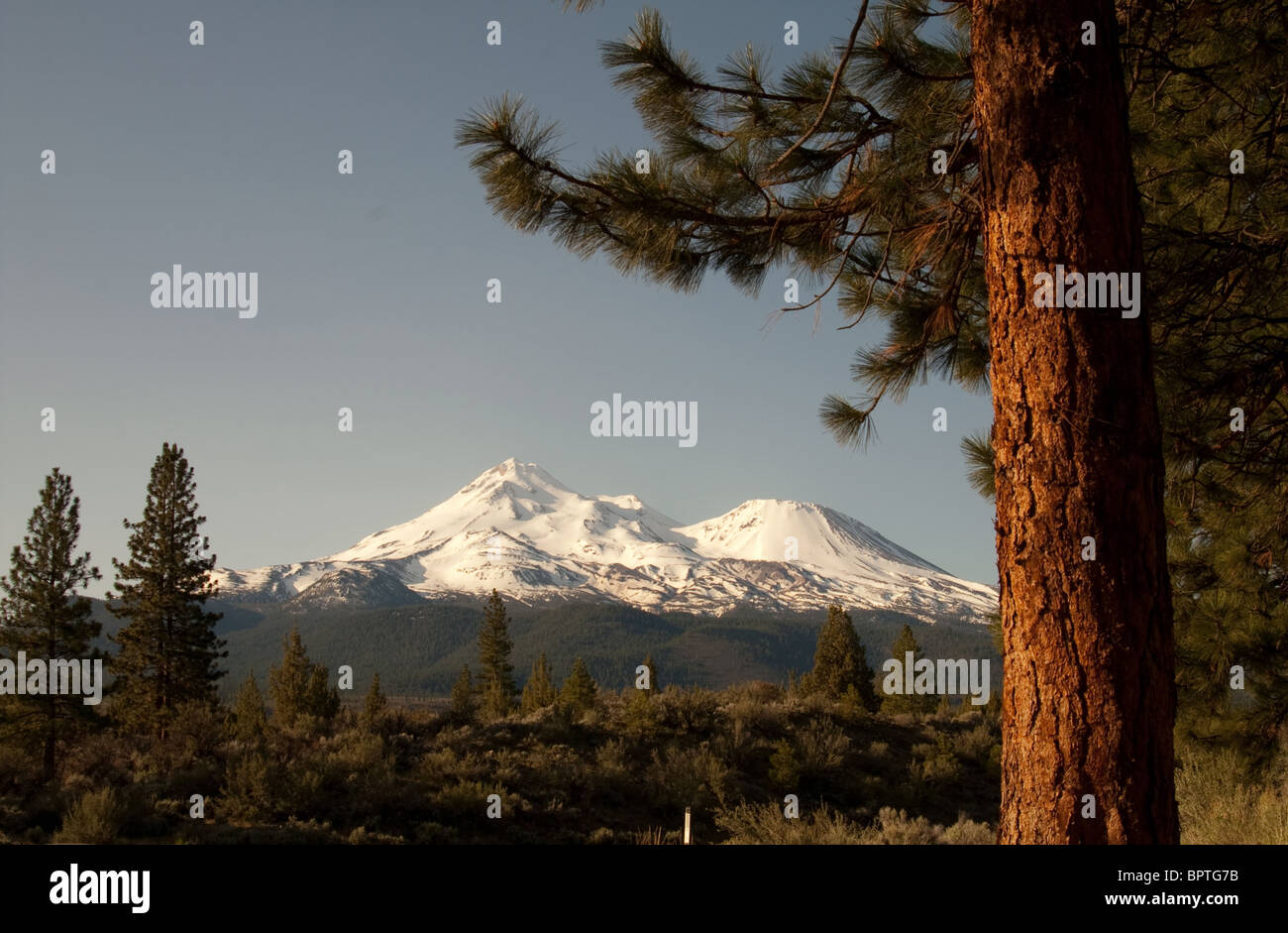 Le mont Shasta en Californie Banque D'Images