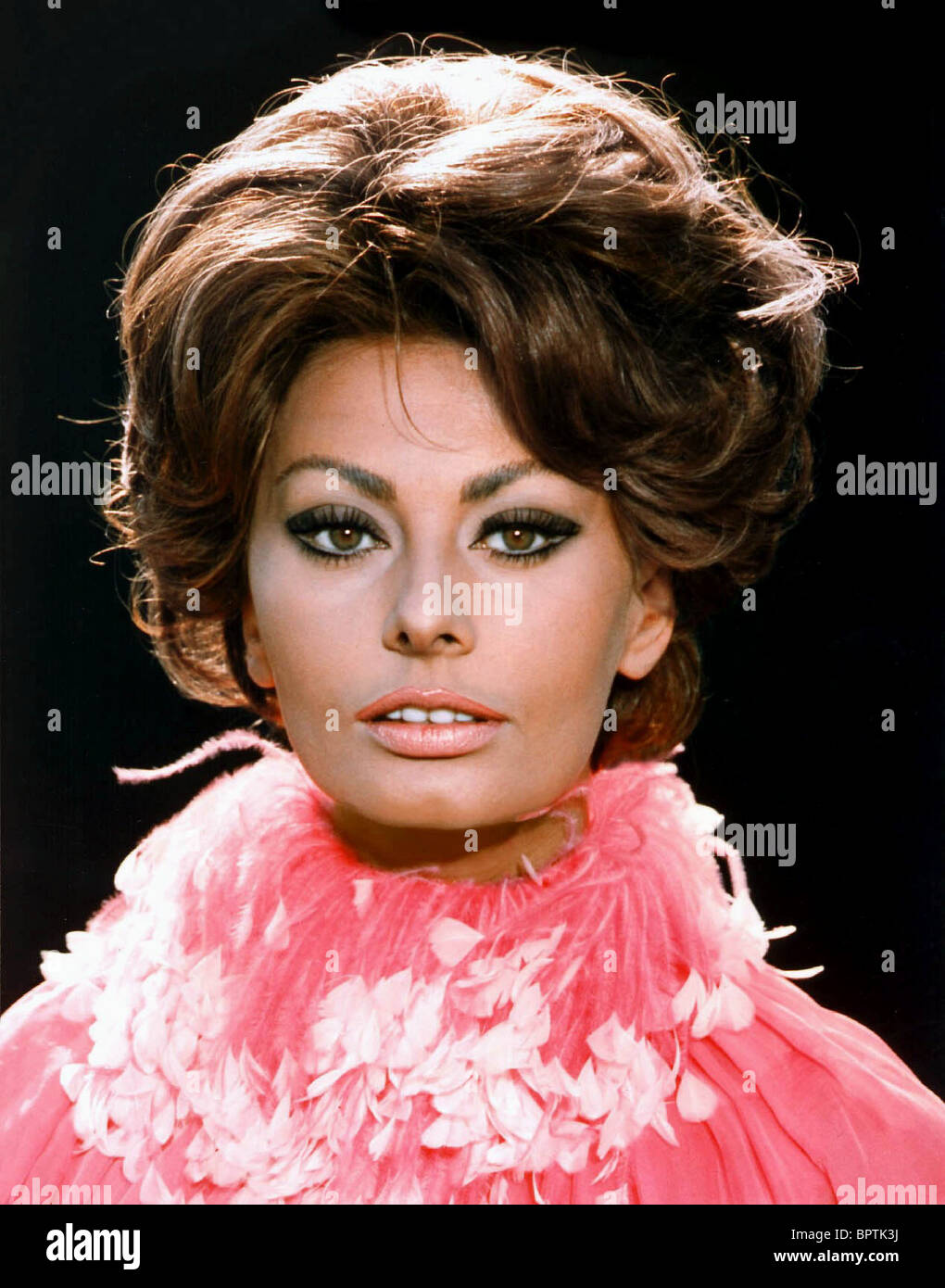 L'ACTRICE SOPHIA LOREN (1964) Banque D'Images