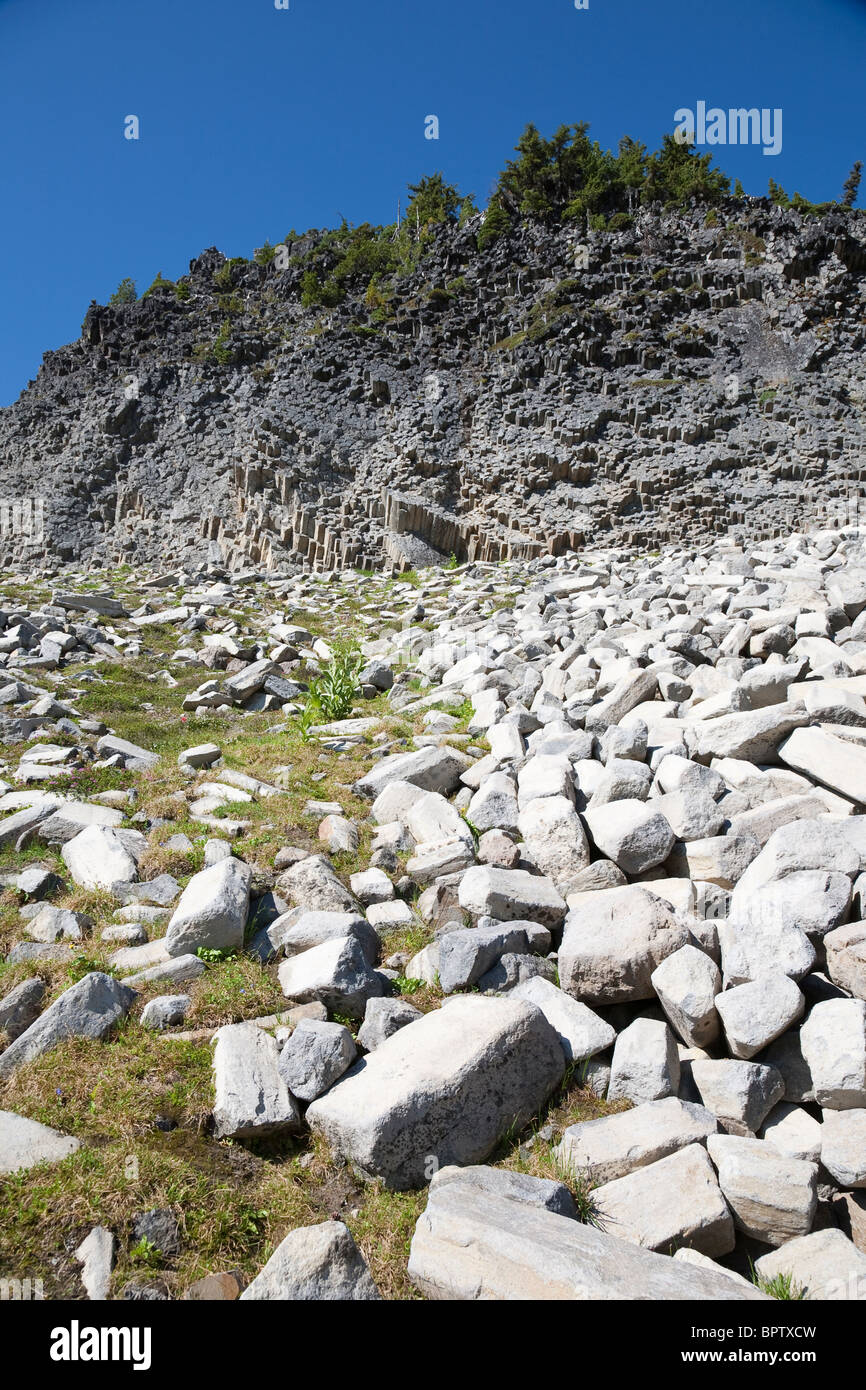 Affleurement de basalte en colonnes le long de la Pacific Crest Trail - Cispus Pass, chèvre sauvage des Rochers Banque D'Images