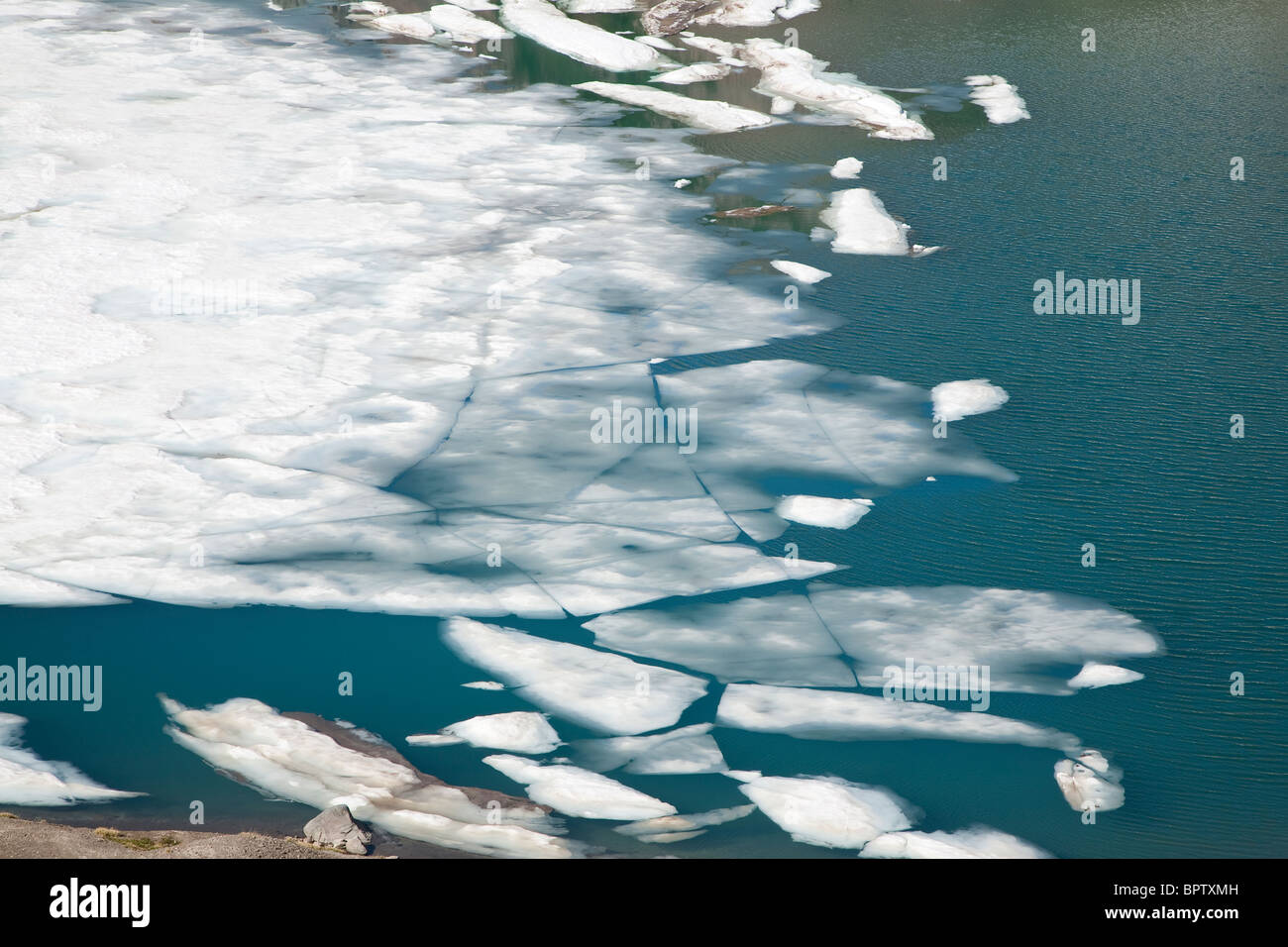 La fonte des glaces sur le lac de la Chèvre la chèvre sauvage dans les roches, Gifford Pinchot National Forest - Washington Banque D'Images