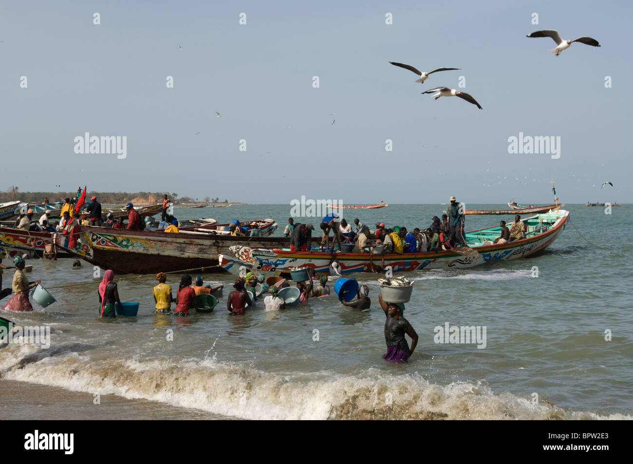 Les personnes hors charger le poisson de la pêche pirogues du marché aux poissons, la Gambie, Tanji Banque D'Images