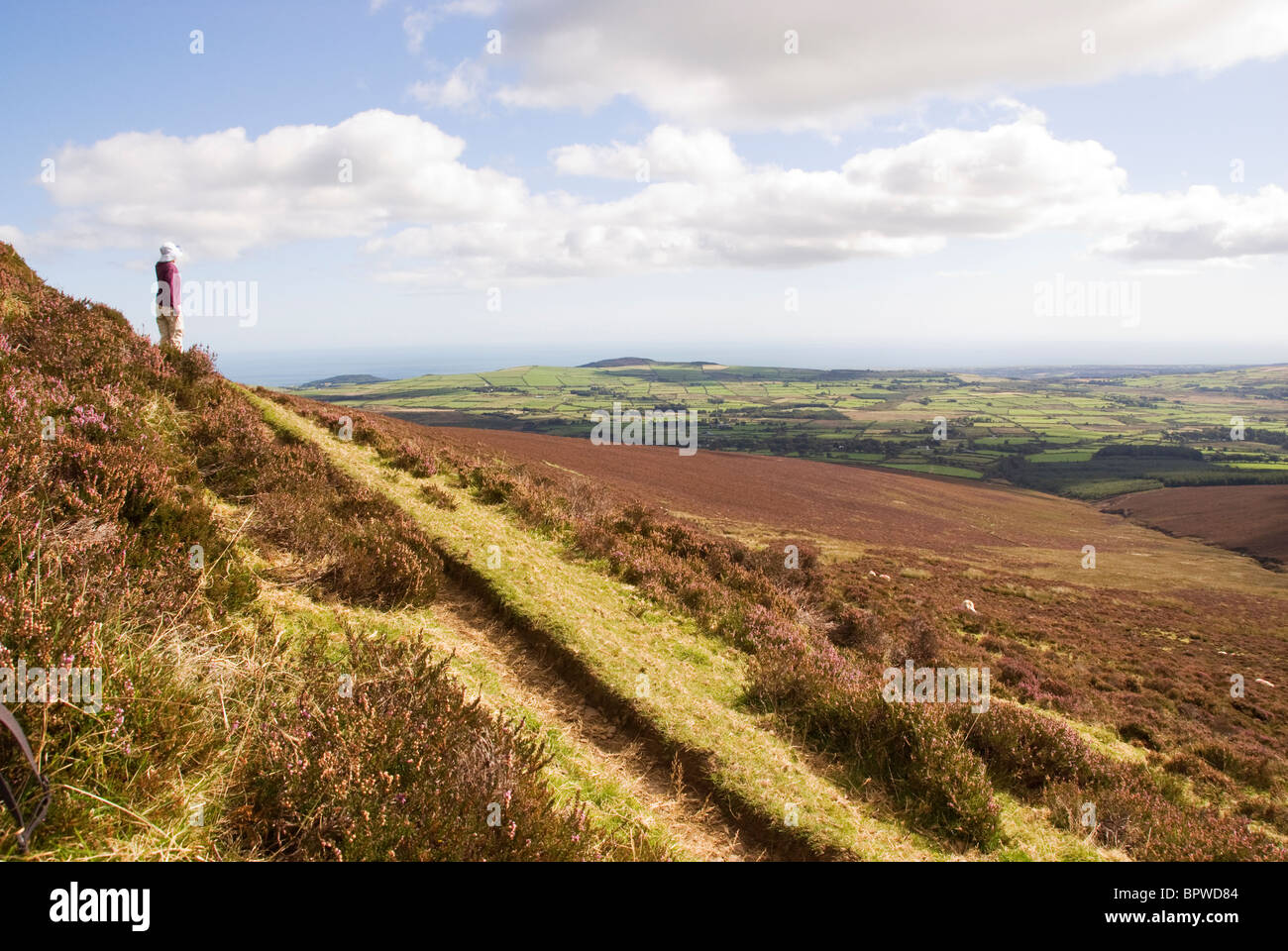 Personne prenant en vue le long du sentier de randonnée Wicklow Way en automne, l'Irlande Banque D'Images