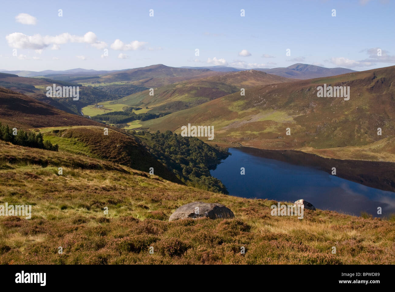 Wicklow Mountains le long du sentier de randonnée Wicklow Way en automne, l'Irlande Banque D'Images