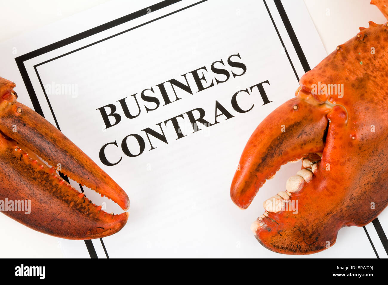 Pince de homard et contrat d'entreprise, concept de menacer Banque D'Images