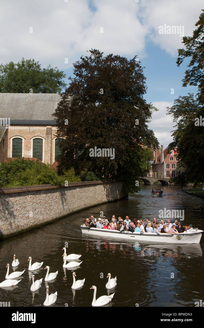 Les touristes et vacanciers sur une excursion en bateau le long du canal de Bruges, Belgique entouré par les cygnes Banque D'Images