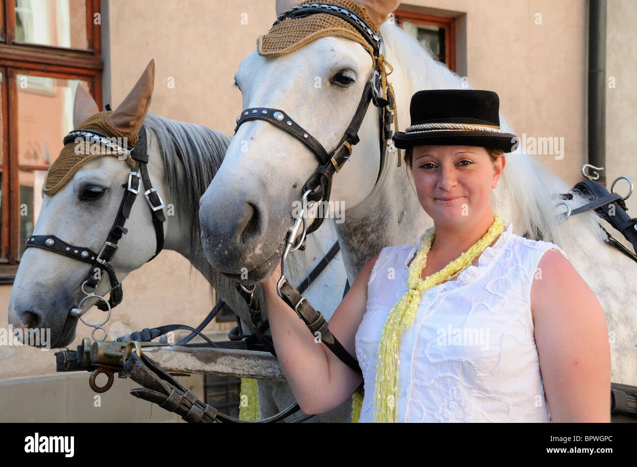 Cheval et guide, le cheval et la calèche est une façon relaxante de voir les curiosités de Cracovie Banque D'Images