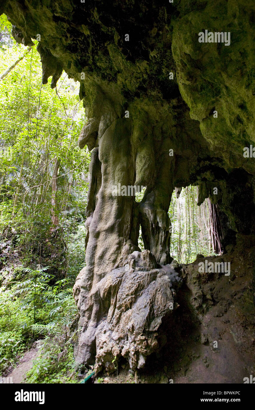 Stalactite et staligmite inscrivez-vous à la forme des piliers de Welchman Hall gully dans parc tropical Banque D'Images