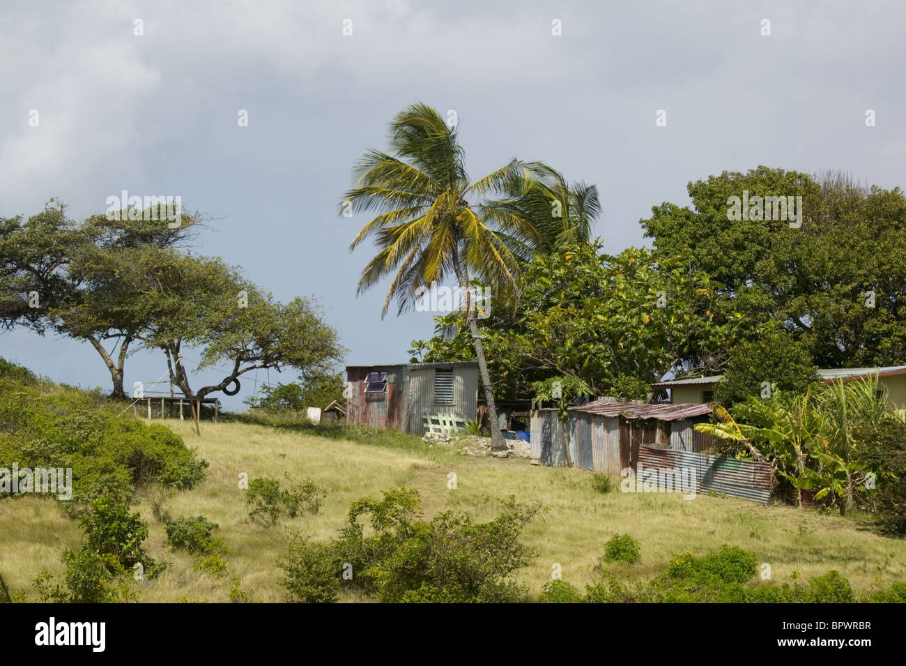 Résidence de campagne générique dans la région de Mount Gay à la Barbade dans les Caraïbes Banque D'Images