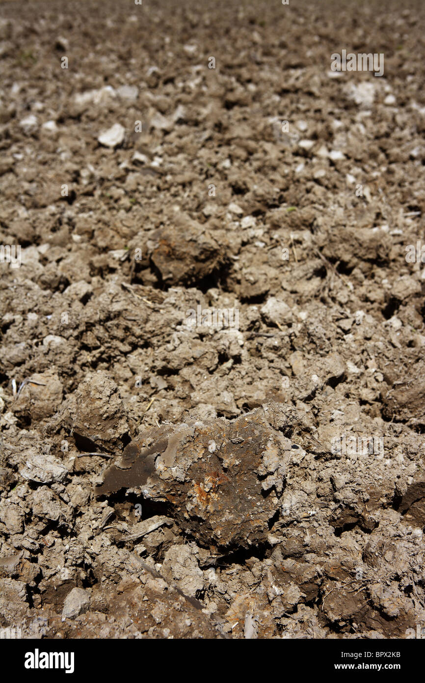 L'agriculture charrue à soc perspective de sol brun foncé d'argile Banque D'Images