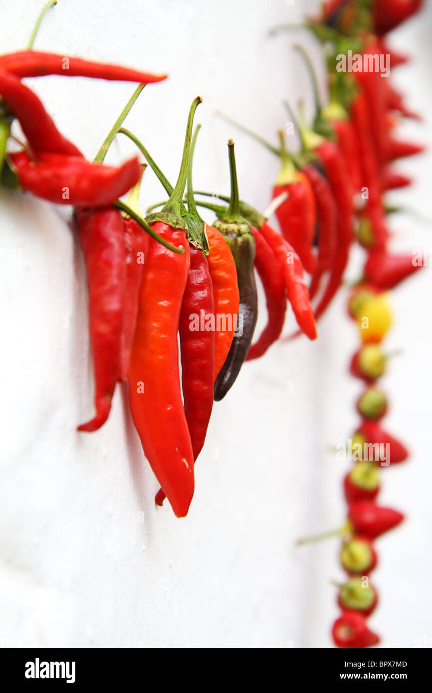 Séchage des piments contre mur blanchi à la chaux, Kas, Turquie Banque D'Images