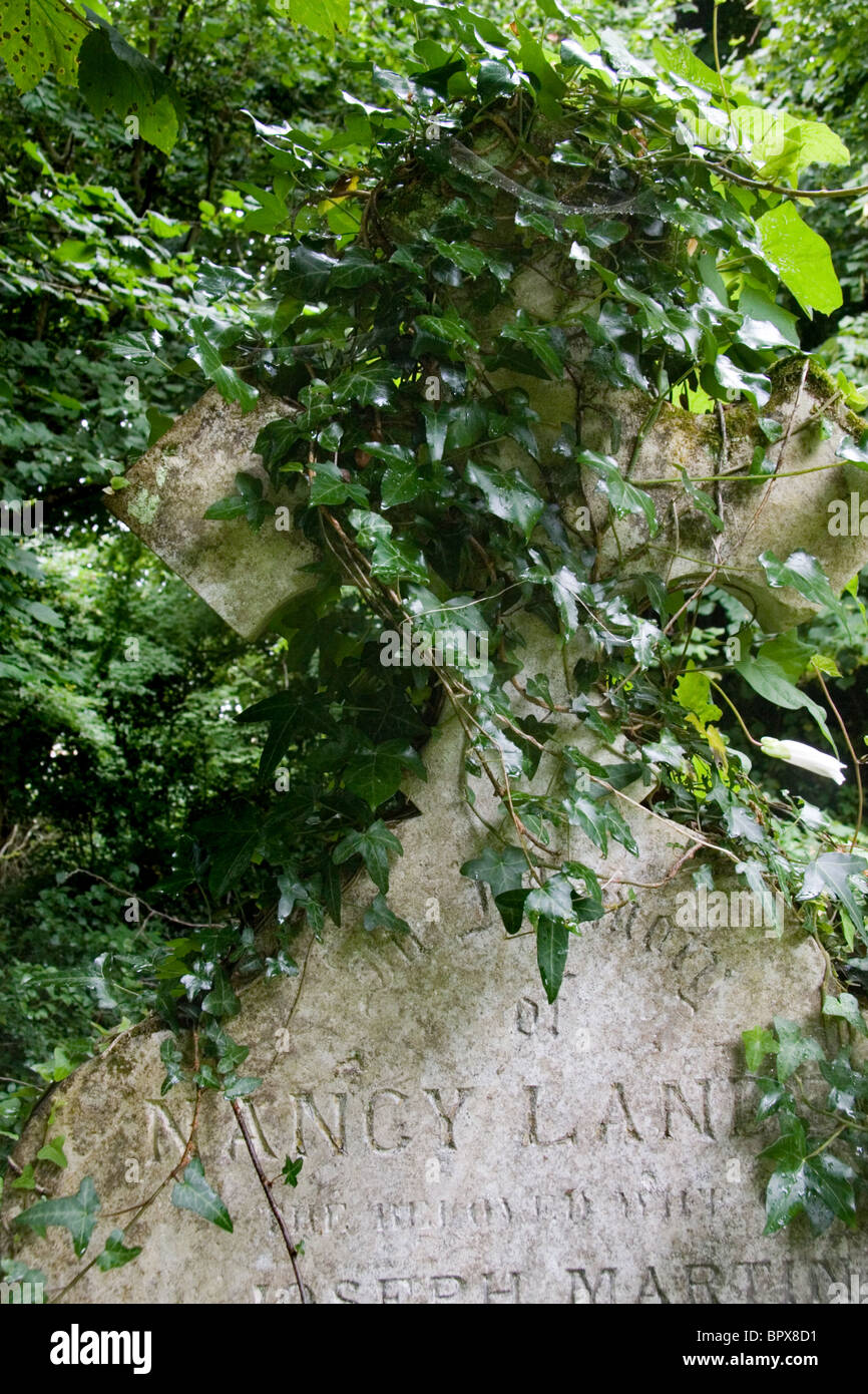 Détail de pierres tombales couvertes de lierre dans un cimetière de Cornouailles Banque D'Images