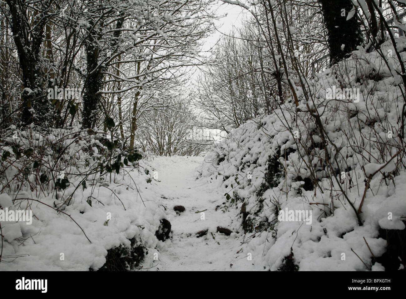 Paysage couvert de neige à Swindon Wiltshire Banque D'Images