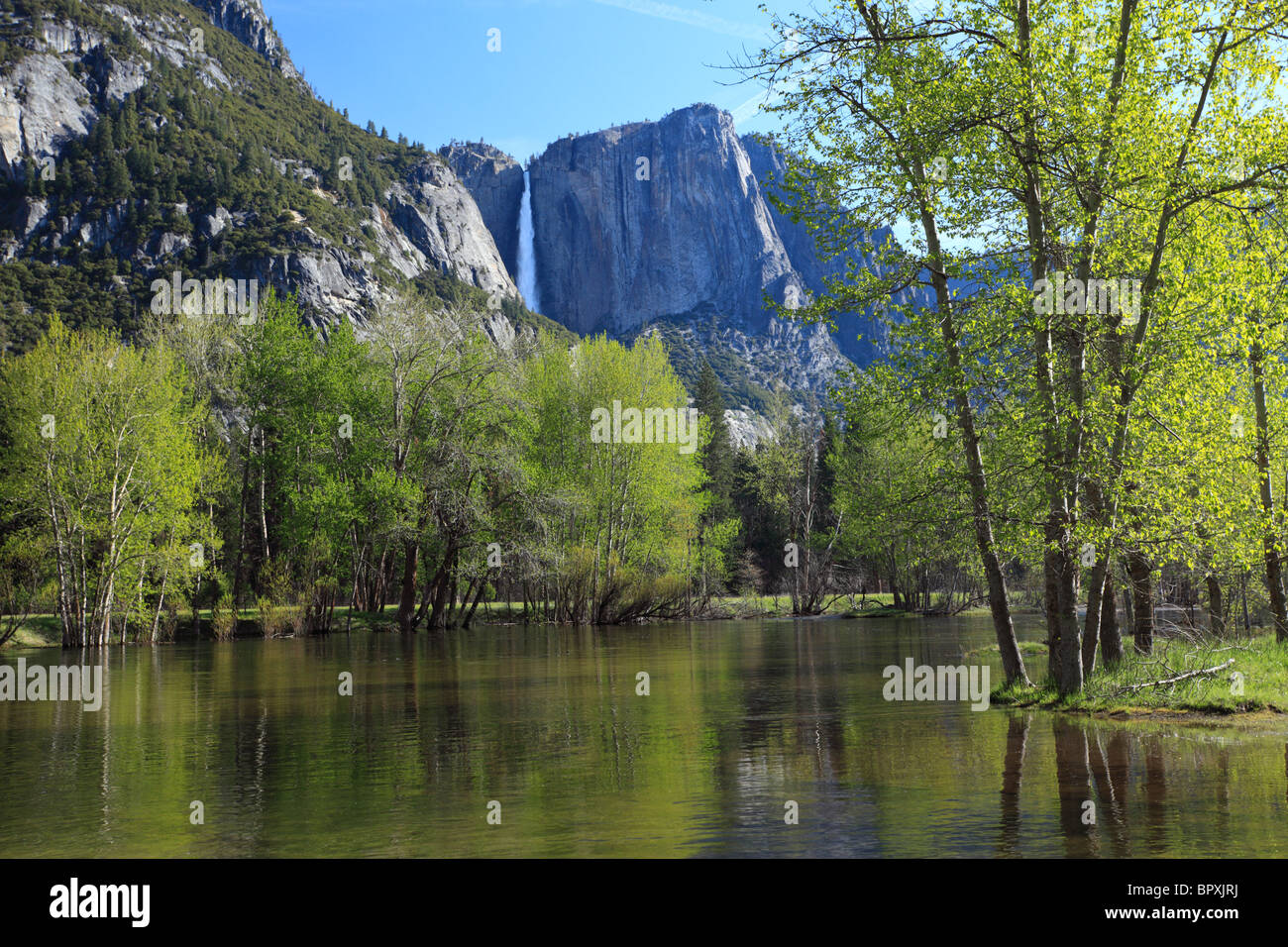 Printemps de la rivière Merced et Yosemite Falls dans la distance (Yosemite National Park, Californie) Banque D'Images