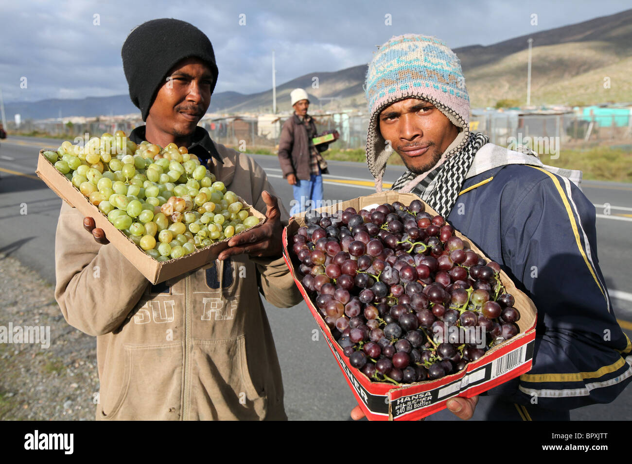 Afrique du Sud : les hommes la vente de raisins sur le bord de la route, Hexvalley région viticole de la Province du Cap occidental près de De Doorns, Hex , Valley Banque D'Images