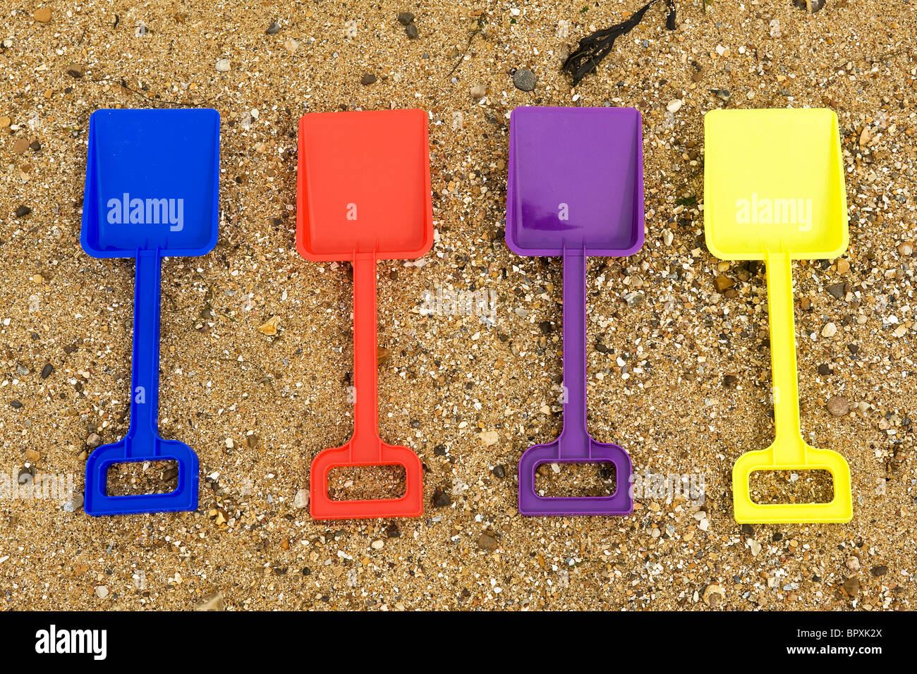 Godet en plastique coloré et chat sur une plage. Banque D'Images
