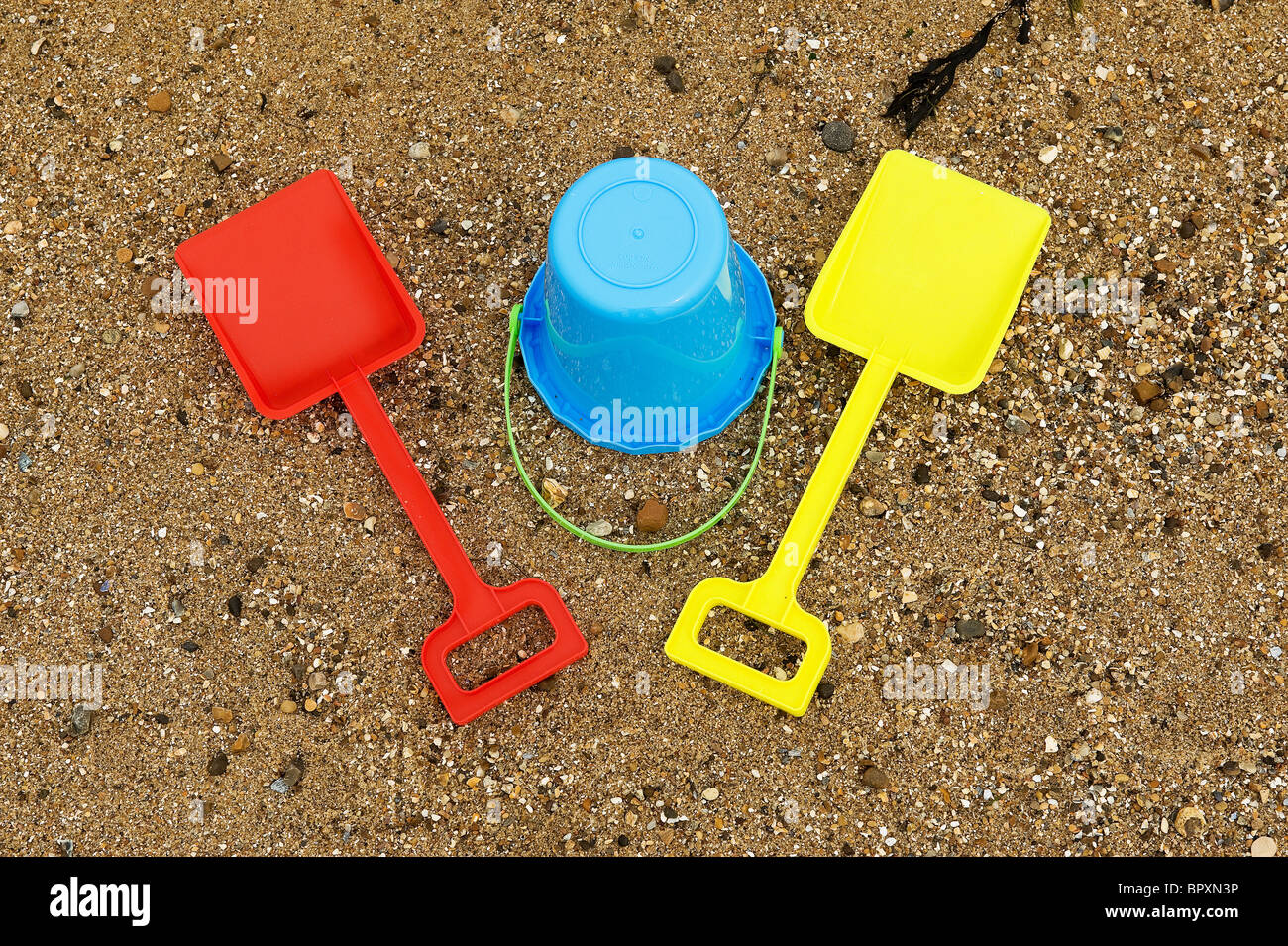 Godet en plastique coloré et chat sur une plage. Banque D'Images