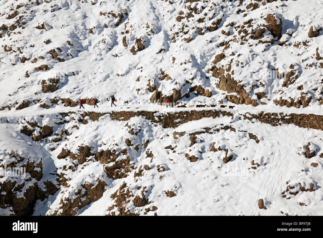 Randonnée en montagne passant Farmer avec chèvres, armé, près d'Imlil, montagnes du Haut Atlas, Maroc, Afrique du Nord Banque D'Images