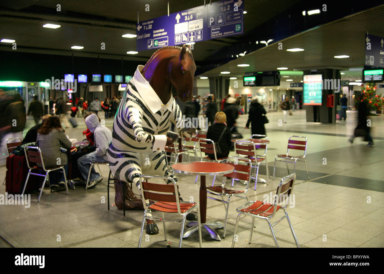 Cheval dans des vêtements zébrés ayant un café sur Bruxelles midi- chemin de fer Station Belgique Banque D'Images