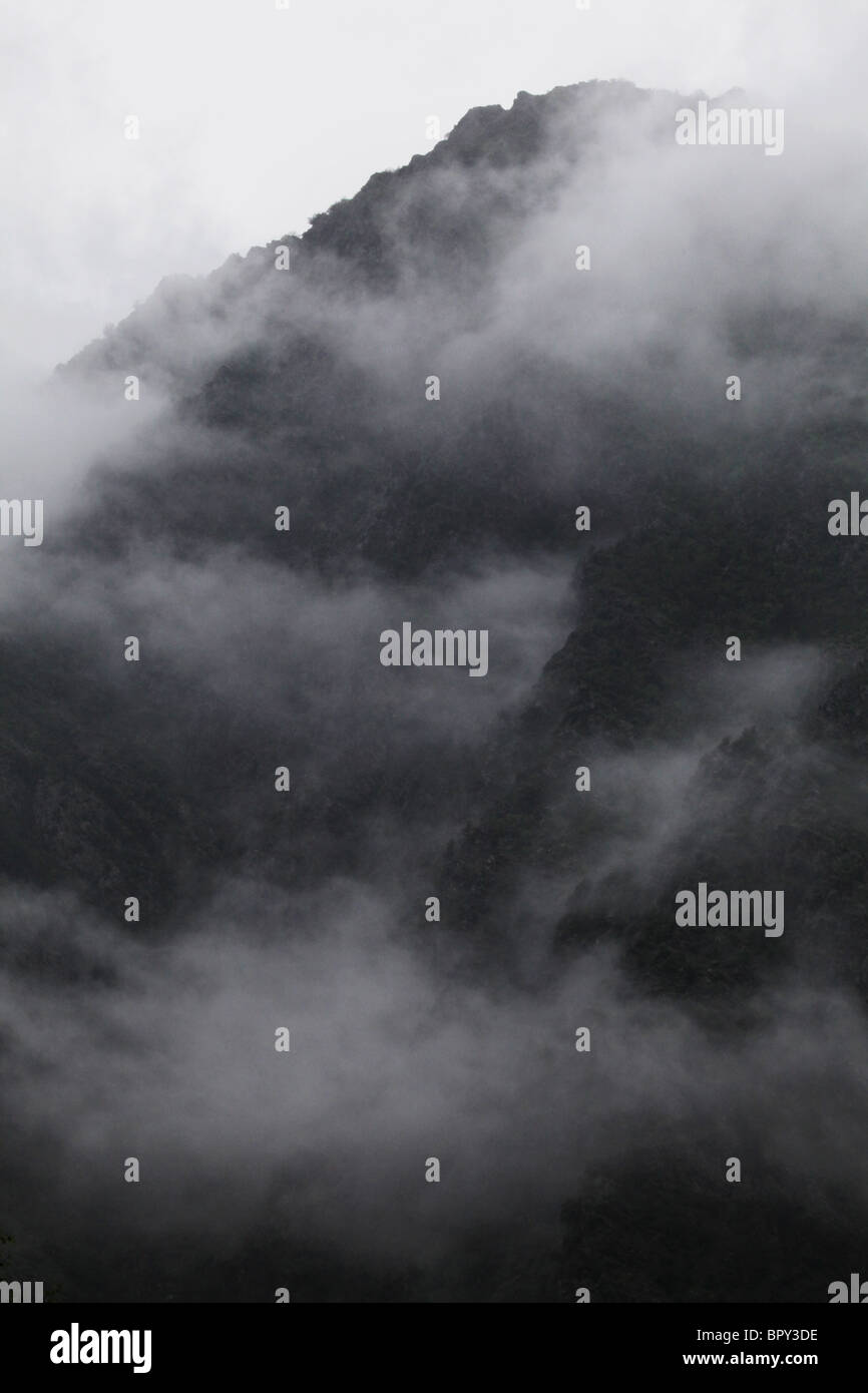 L'augmentation de brume basse arbres storm cloud et fortes pluies près de Alins dans la vallée de Vall Ferrera andorre Pyrénées frontière Espagne Banque D'Images