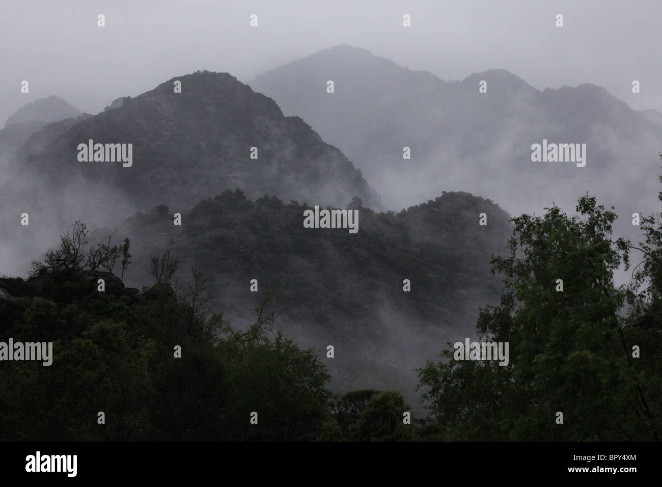 L'augmentation de brume basse arbres storm cloud et fortes pluies près de Alins dans la vallée de Vall Ferrera andorre Pyrénées frontière Espagne Banque D'Images