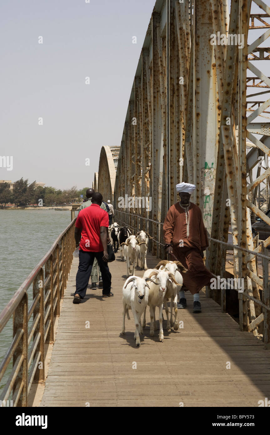 Pont Faidherbe qui relie le continent à l'île Saint-Louis, Saint-Louis, Sénégal Banque D'Images