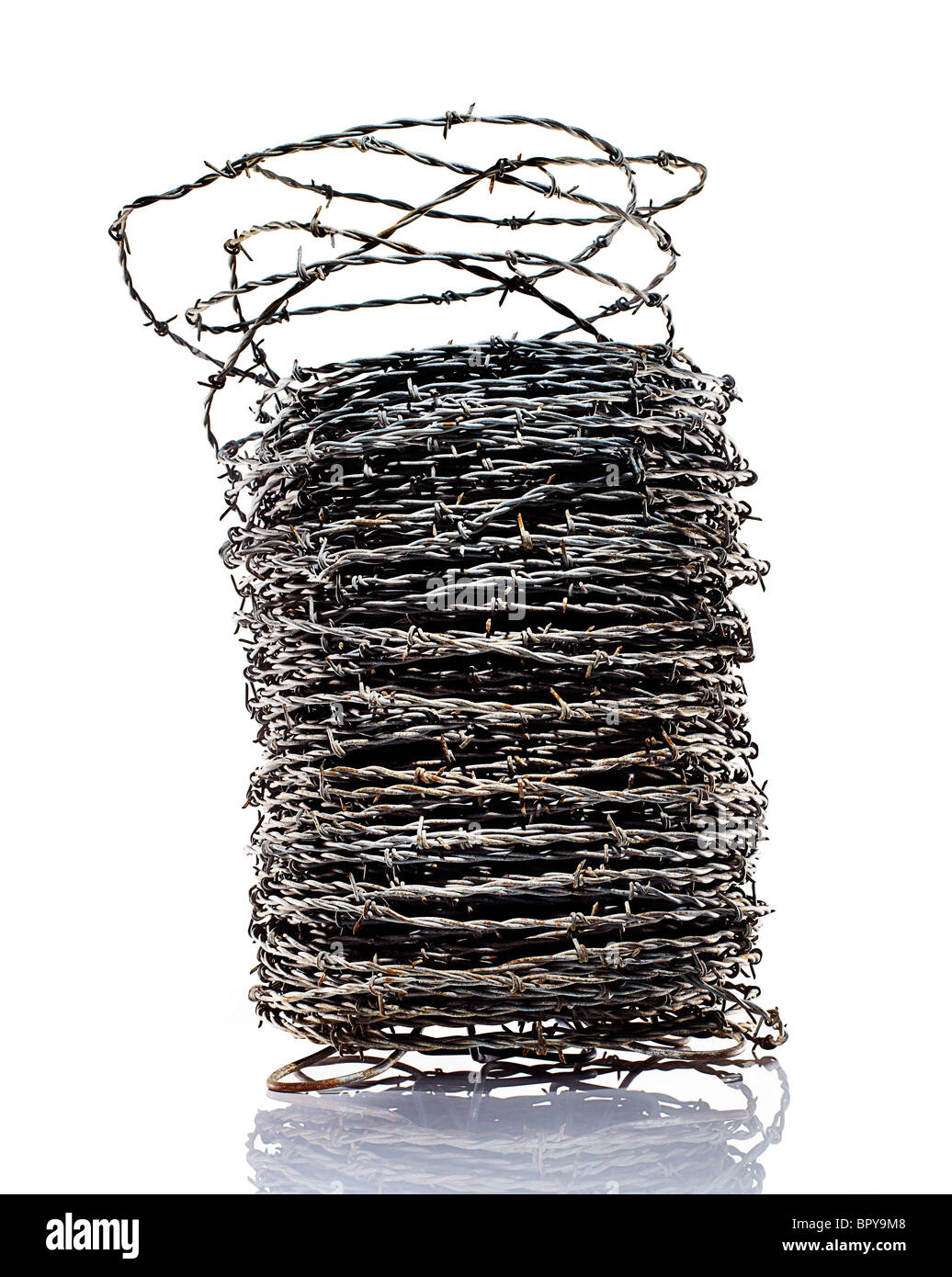 Barbelés enroulés sur un fond blanc. Banque D'Images