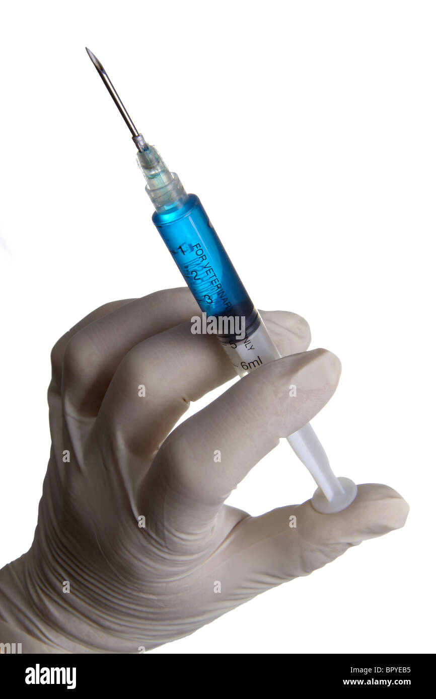 Liquide bleu seringue dans la main Banque D'Images