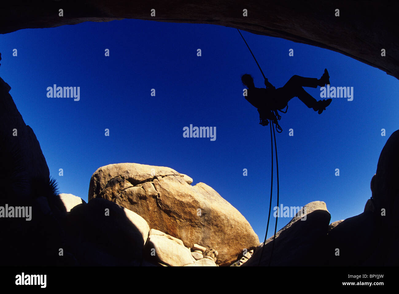 Climber rappeling roche, Joshua Tree National Park, Californie (silhouette, grand angle). Banque D'Images