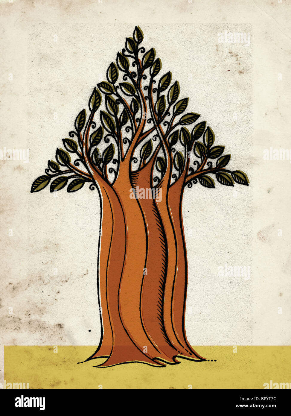 Un arbre avec un tronc très large avec des branches dans la forme d'une flèche Banque D'Images