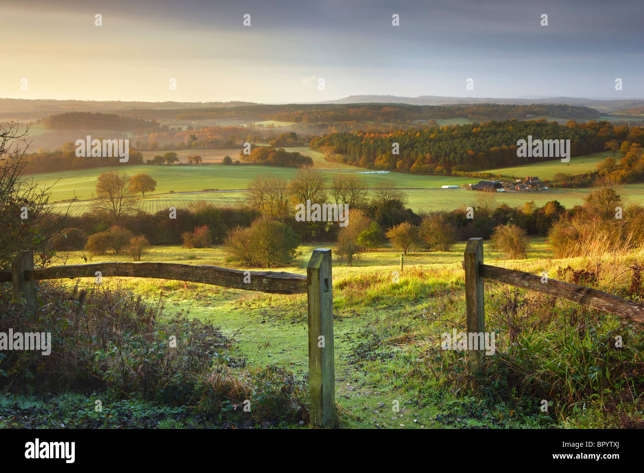 La lumière du soleil du matin qui brille sur les North Downs, Newlands Corner Banque D'Images