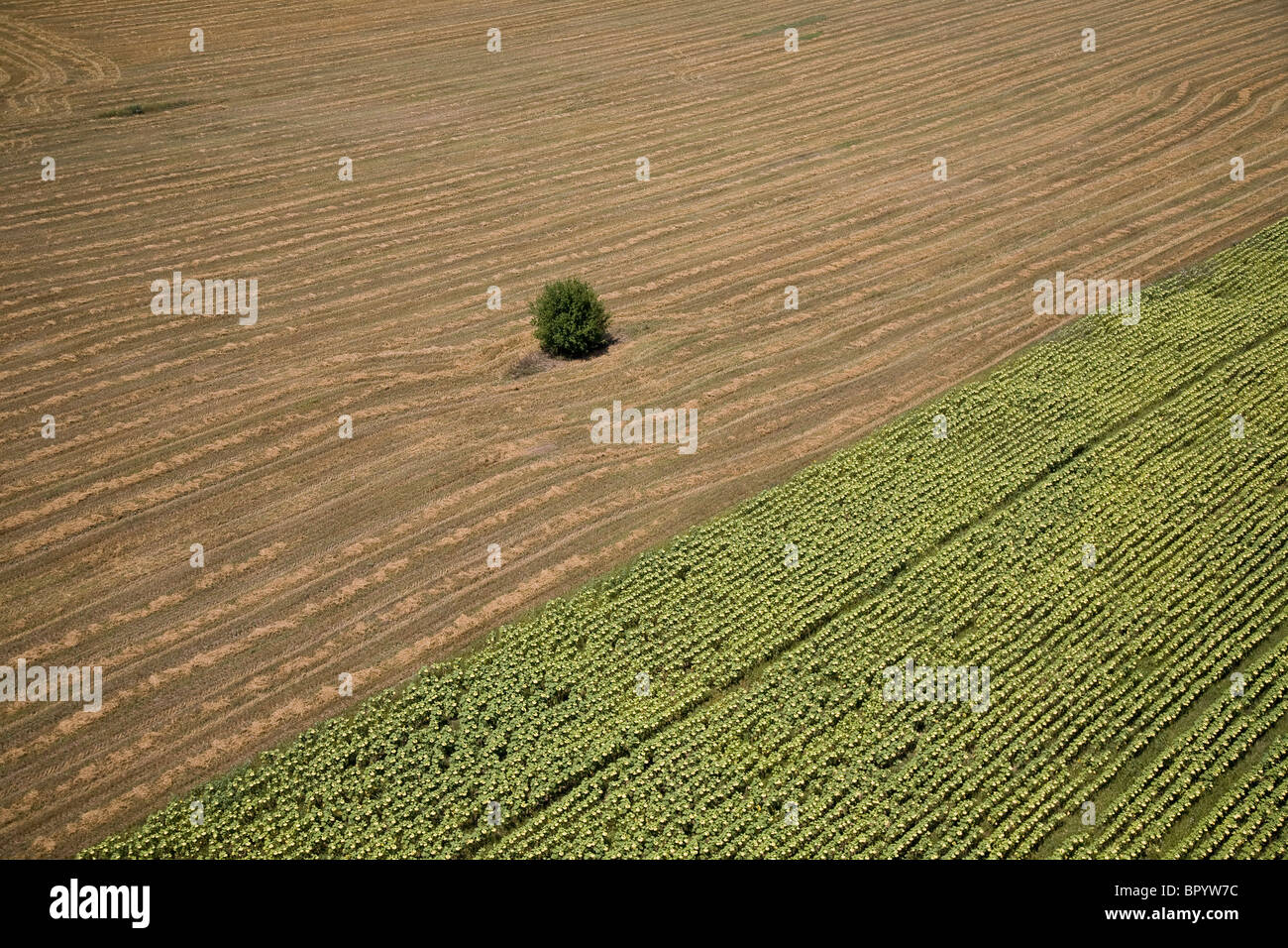 Photo aérienne de l'arrière pays Banque D'Images