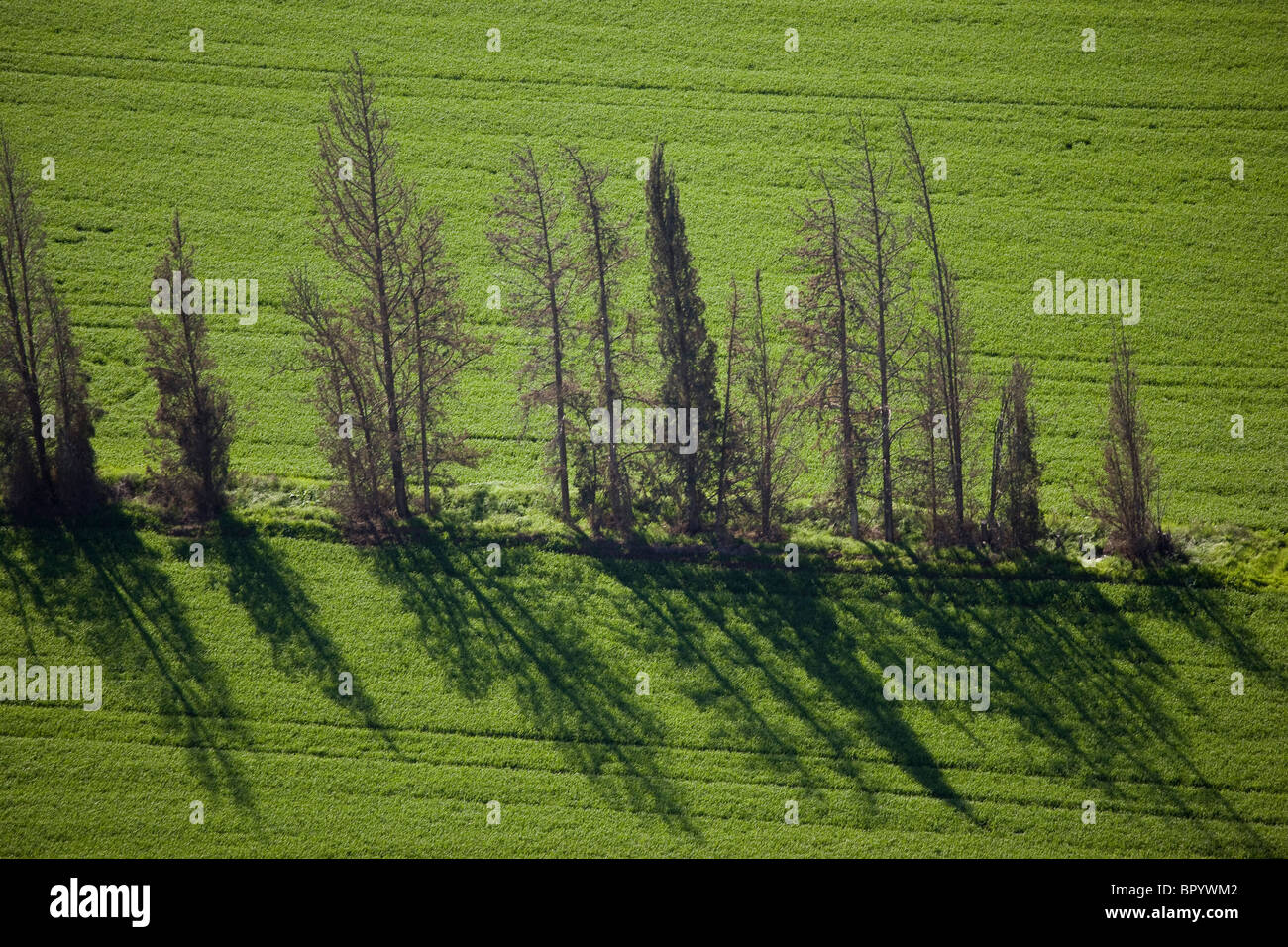 Photographie aérienne du champs de l'Agriculture de la Galilée Banque D'Images