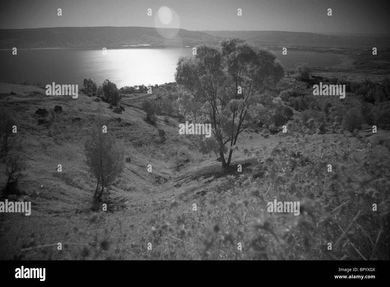 Le noir et blanc sur la mer de Galilée Banque D'Images