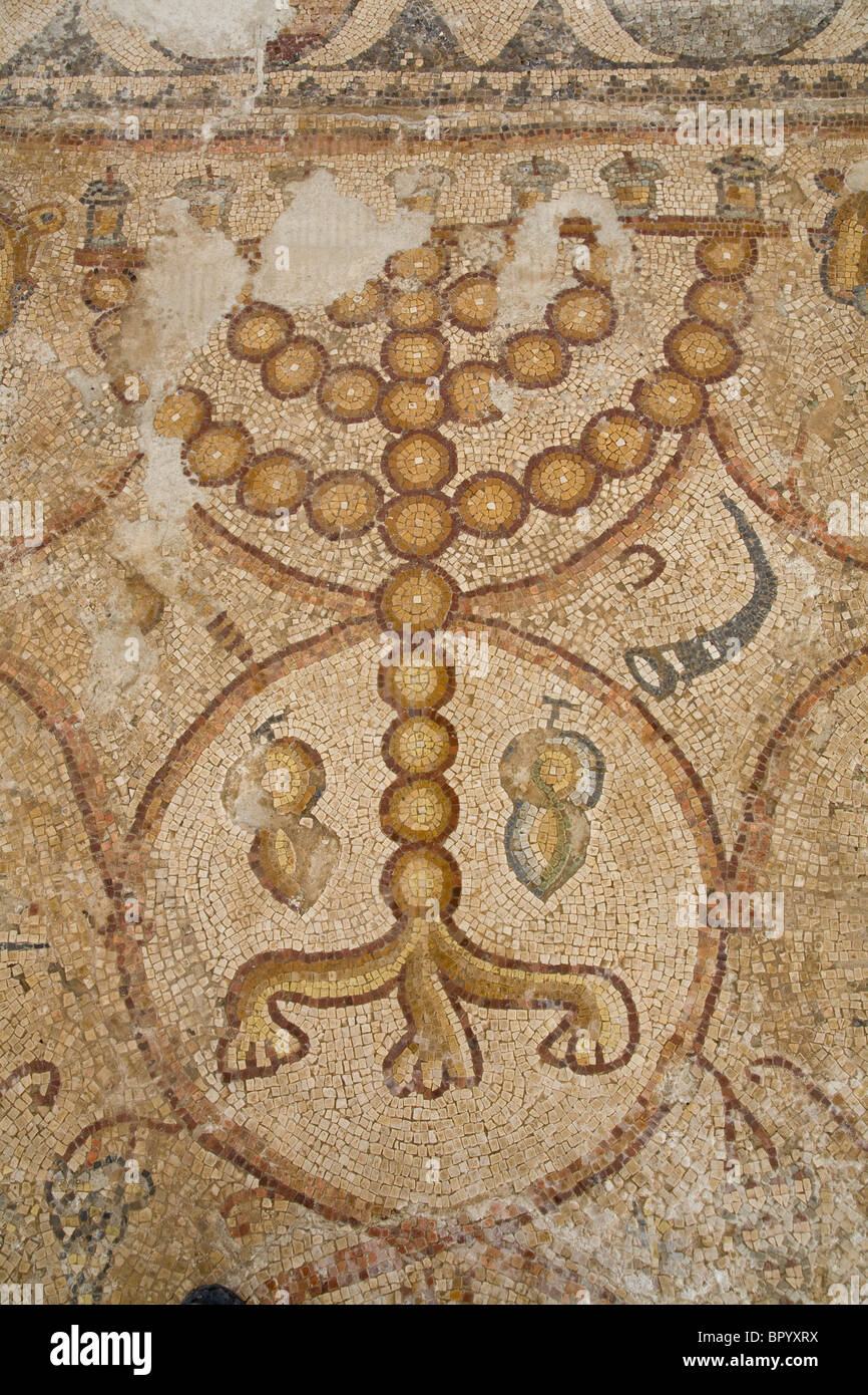 Photographie d'un sol en mosaïque dans l'ancienne synagogue de Ma'sur Nirim dans l'ouest du Negev Banque D'Images